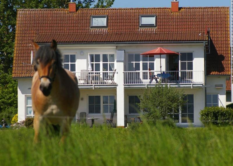 Ferienwohnung Boddenblick Zudar Exteriör bild