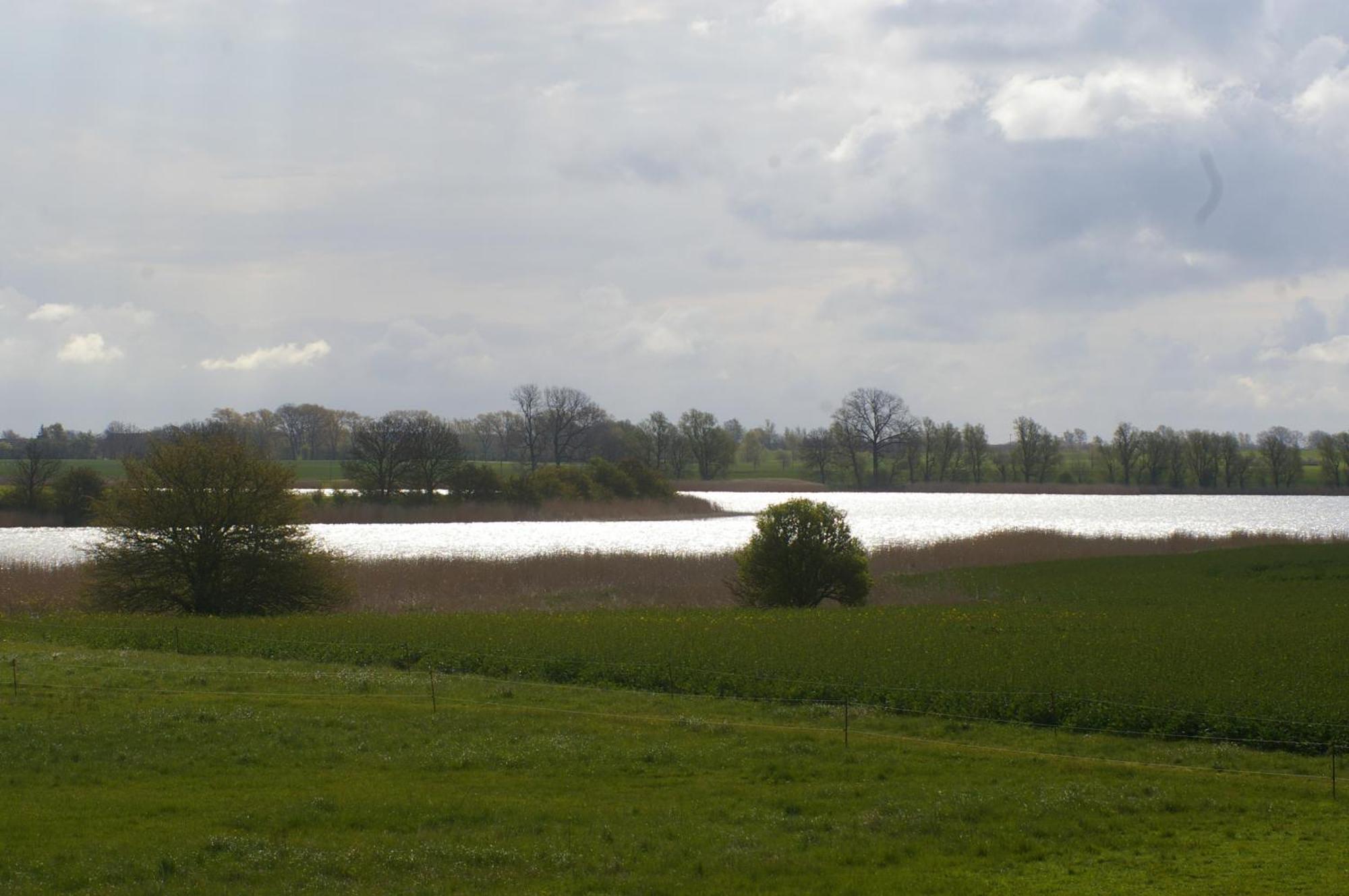 Ferienwohnung Boddenblick Zudar Exteriör bild